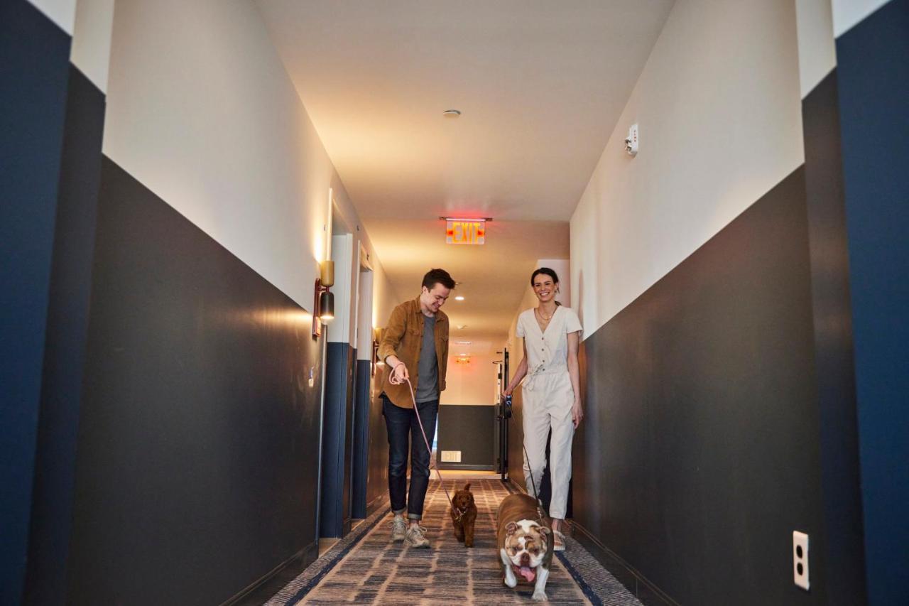 Hotel The Junto *